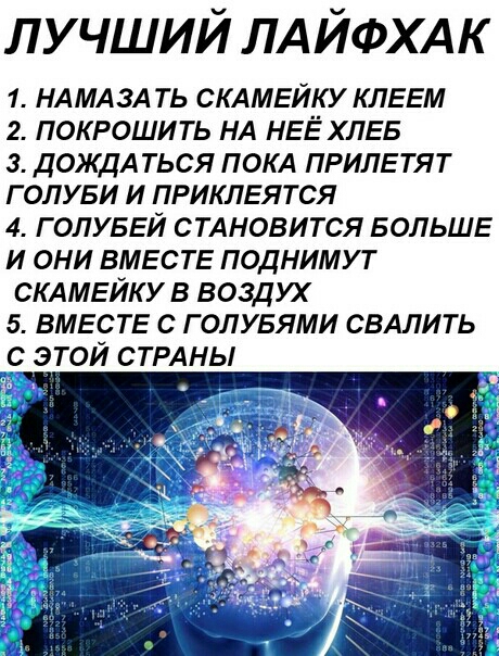 лучший ЛА ЙФХАК 1 НА МА ЗА ть СКАМЕЙКУ КЛЕЕМ 2 покрошить НА НЕЁ ХЛЕБ з дождА ться ПОКА ПРИЛЕТЯТ голуви и ПРИКЛЕЯТСЯ 4 ГОЛУБЕЙ СТАНОВИТСЯ БОЛЬШЕ и они ВМЕСТЕ поднимут СКАМЕЙКУ в воздух 5 ВМЕСТЕ с голубями СВАЛИТЬ _с этой СТРАНЫ