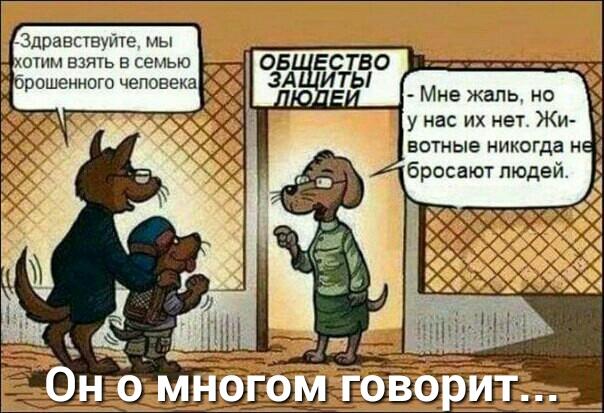 Здравствуйте мы 05 ЕСТВО ЗА ИТЫ Мне жаль но у нас их нет Жи вотные никогда н бросают людей