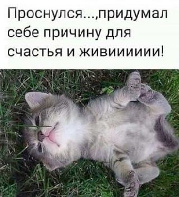 Проснулсяпридумал себе причину для счастья и живииииии