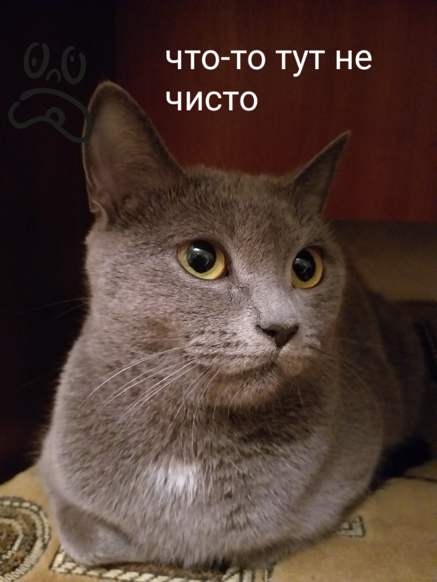 что то тут не чисто