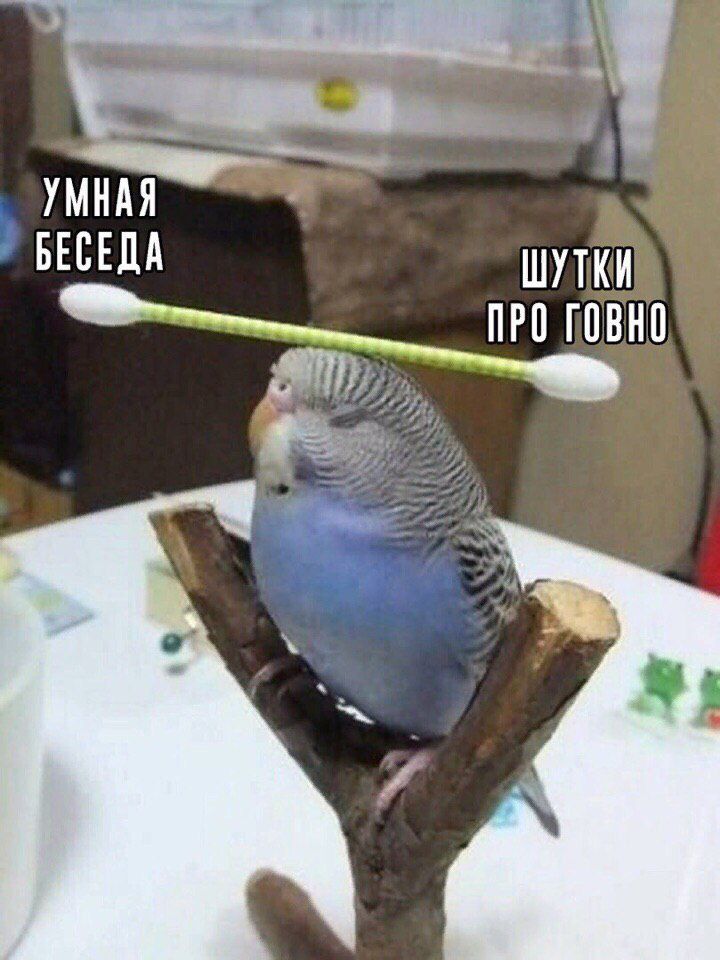тндя _ БЕСЕДА ШУТКИ ПРП ГПВНП