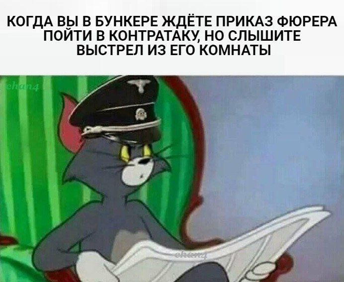 КОГДА ВЫ В БУНКЕРЕ ЖДЁТЕ ПРИКАЗ ФЮРЕРА ПОЙТИ В КОНТРАТАКУ НО СЛЫШИТЕ ВЫСТРЕЛ ИЗ ЕГО КОМНАТЫ