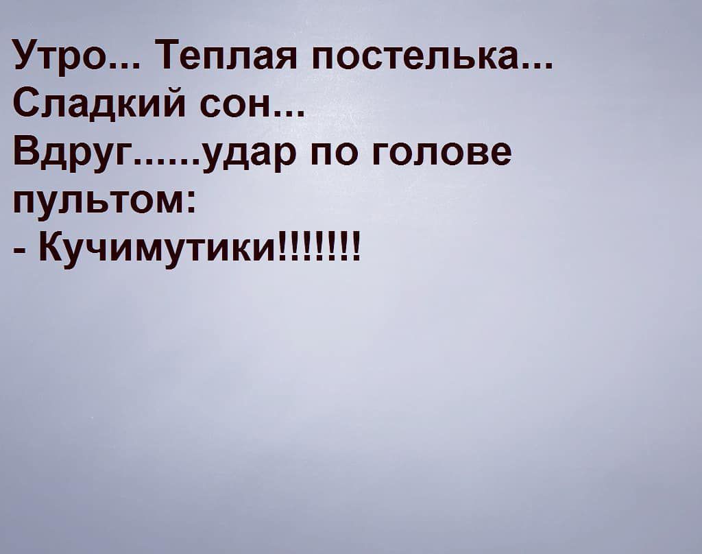 Утро Теплая постелька Сладкий сон Вдруг удар по голове пультом Кучимутики