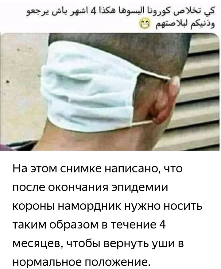 х 14 1 4 3 Ьэч 95 абы 5 Гд 59333 На этом снимке написано что после окончания эпидемии короны намордник нужно носить таким образом в течение 4 месяцев чтобы вернуть уши в нормальное положение