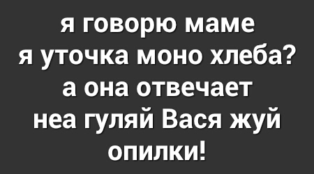 я говорю маме я уточка моно хлеба а она отвечает неа гуляй Вася жуй опилки