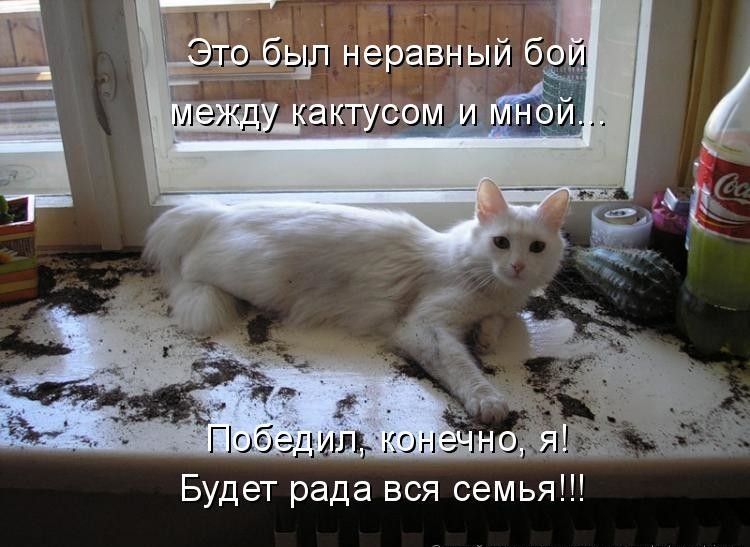 Будет рада вся семья