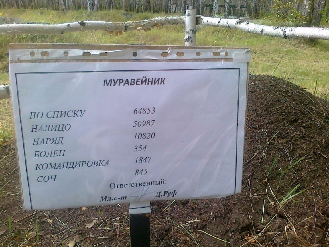 МУРАВЕЙНИК по списку 64853 НАЛИЦО 50987 НАРЯД 10820 ВОЛЕН 354 КОМАНДИРОВКА 1847 845 Ответственный Мл с т _