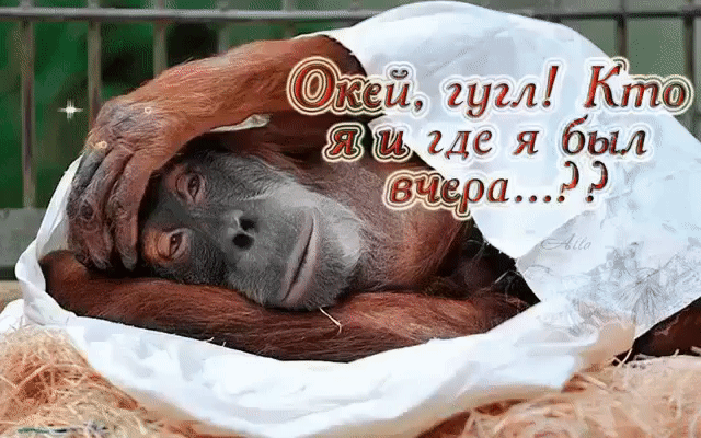 й гут Кт и где я был аР