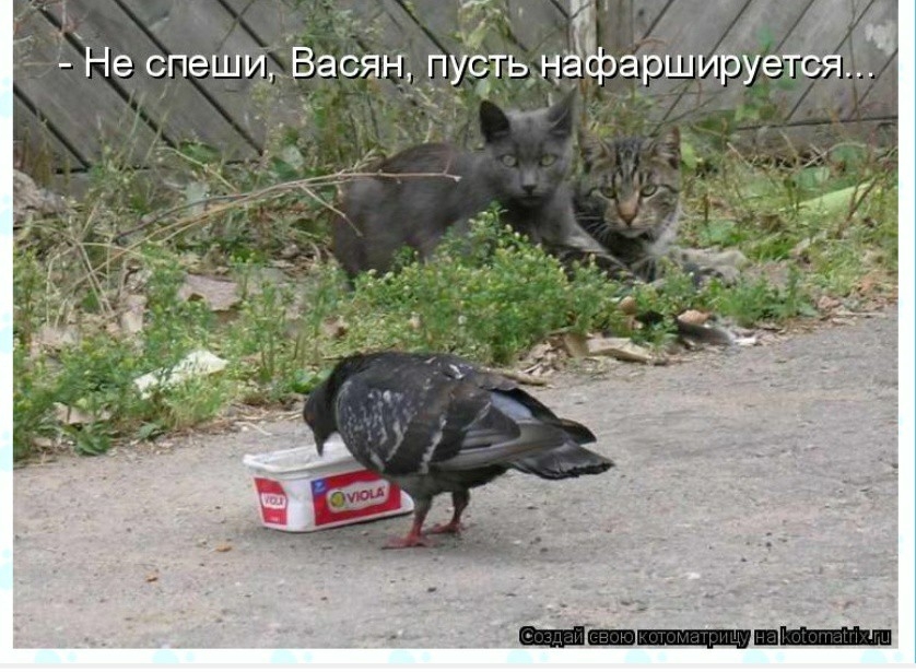 _ _ Ъ _ Г Не спецііігд Васян пучтьіндлр