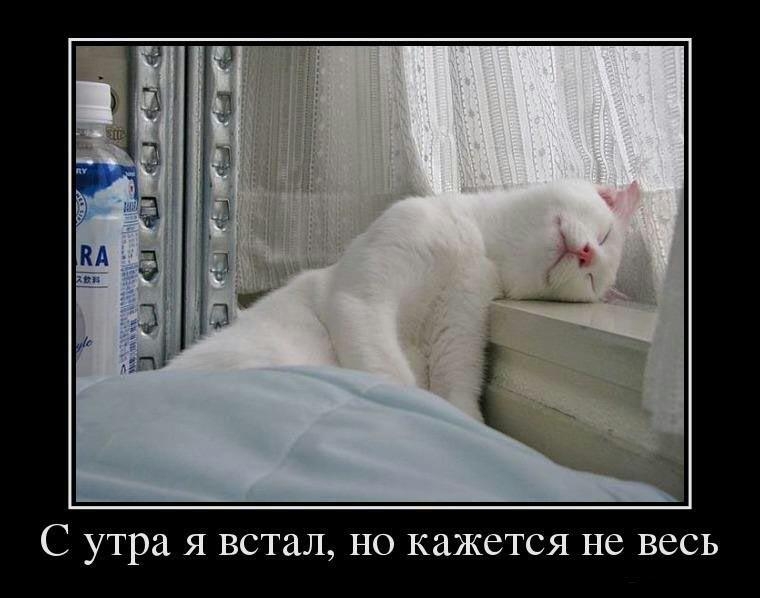 С утра Я встал НО кажется НС ВССЬ