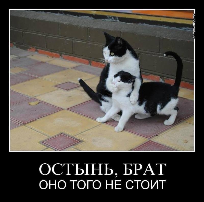 ОСТЫНЬ БРАТ оно того НЕ стоит