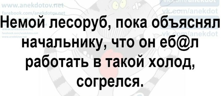 Немой лесоруб пока объяснял начальнику что он ебп работать в такой холод согрелся