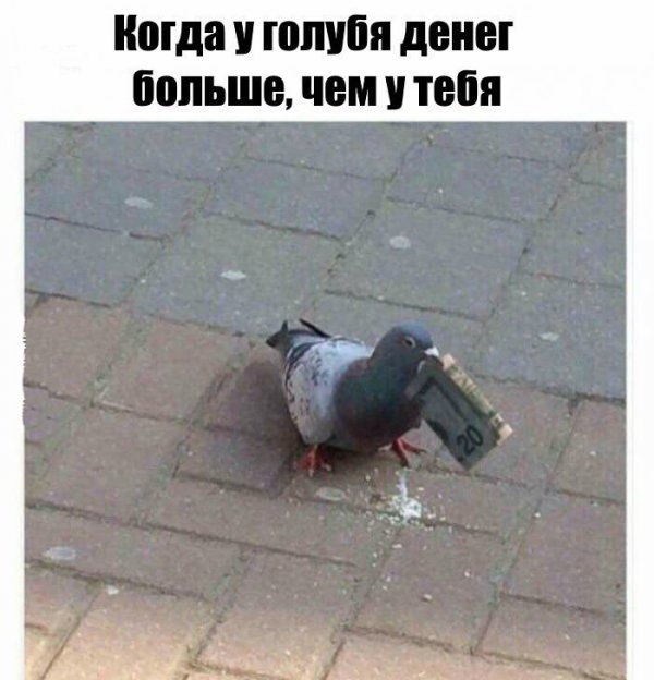 ноша ШШШ дены больше ЧЕМ тебя