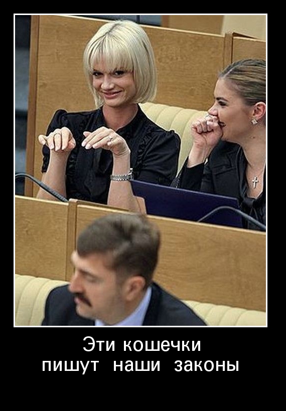 Эти кошечки пишут наши законы