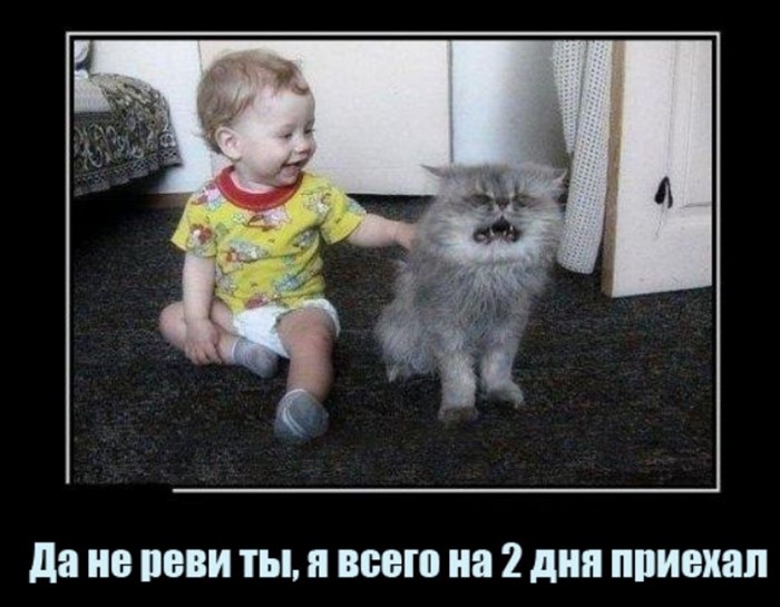 да ШВВП ты п всего на 2 дня ппиехап