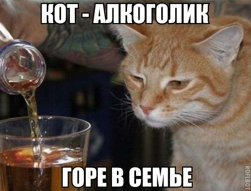 ЮРЕ В ВЕМЪЬ