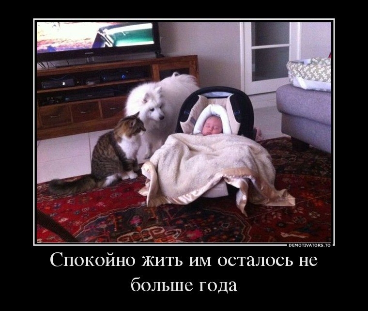 Спокойно ЖИТЬ ИМ осталось не больше года