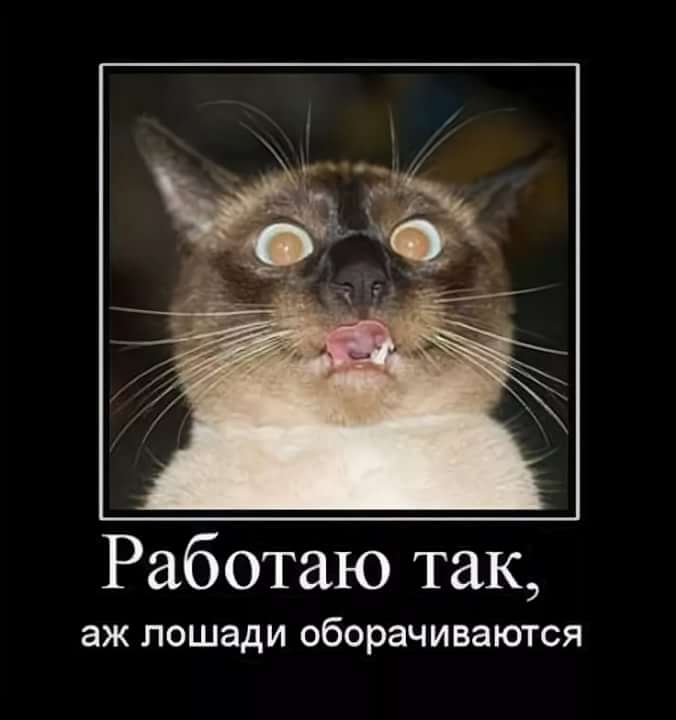 Работаю так аж ЛОШЭДИ оборачиваются