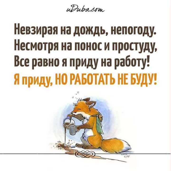 Несмотря на планы