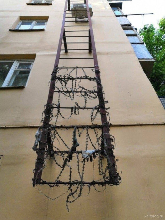 из м тг ц т Ёа