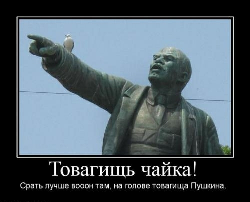 А Товагищь чайка Срать лучше вооон там на голове тсваги ща Пушкина