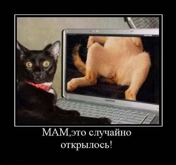 МАМэто случайно открылось