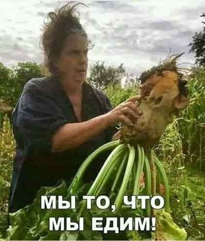 мьцтодчтод 4 мы ЕдИМ д