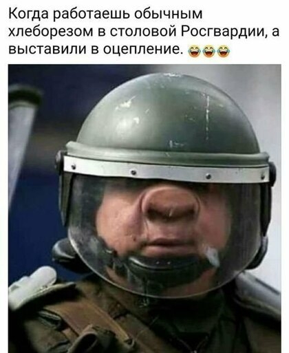 Когда работаешь обычным хпеборезом в столовой РосгварДИИ а ВЫСТВВИПИ В оцепление