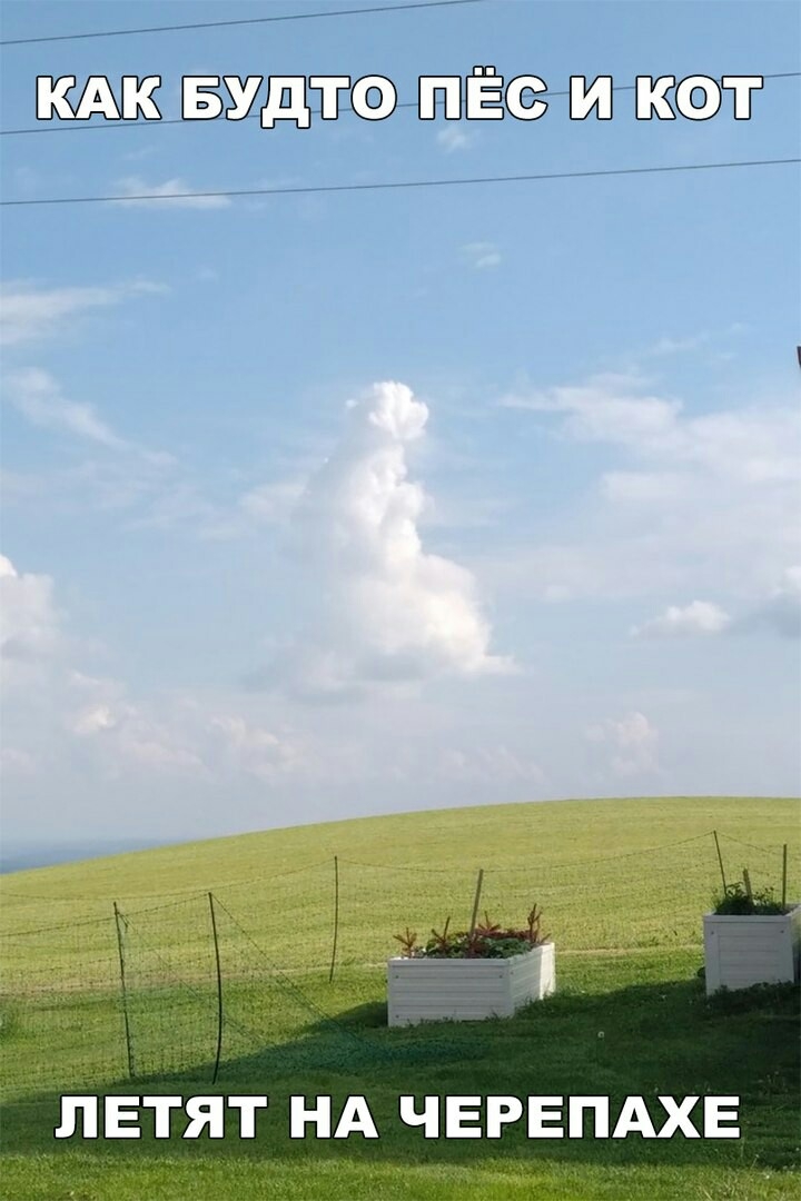 ЛЕТЯТ НА ЧЕРЕПАХЕ