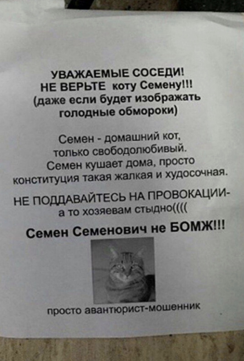 УВАЖАЕМЫЕ СОСЕДИ НЕ ВЕРЬТЕ коту Семену даже если будет изображать голодные обмороки Семен домашний кот только сеободОлюбивый Семен кушает дома просто конституция такая жалкая и худосочная НЕ поддАВАЙТЕСЬ НА ПРОВОКАЦИИ а то хозяевам стыдно Семен Семенович не БОМЖ