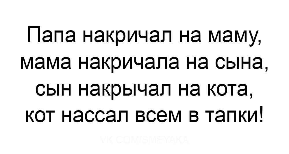 Папа накричап на маму мама накричапа на сына сын накрычап на кота кот насоап всем в тапки