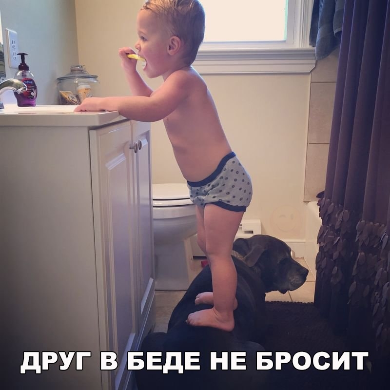 дРУГ ЁЕДЕ НЕ БРОСИТ