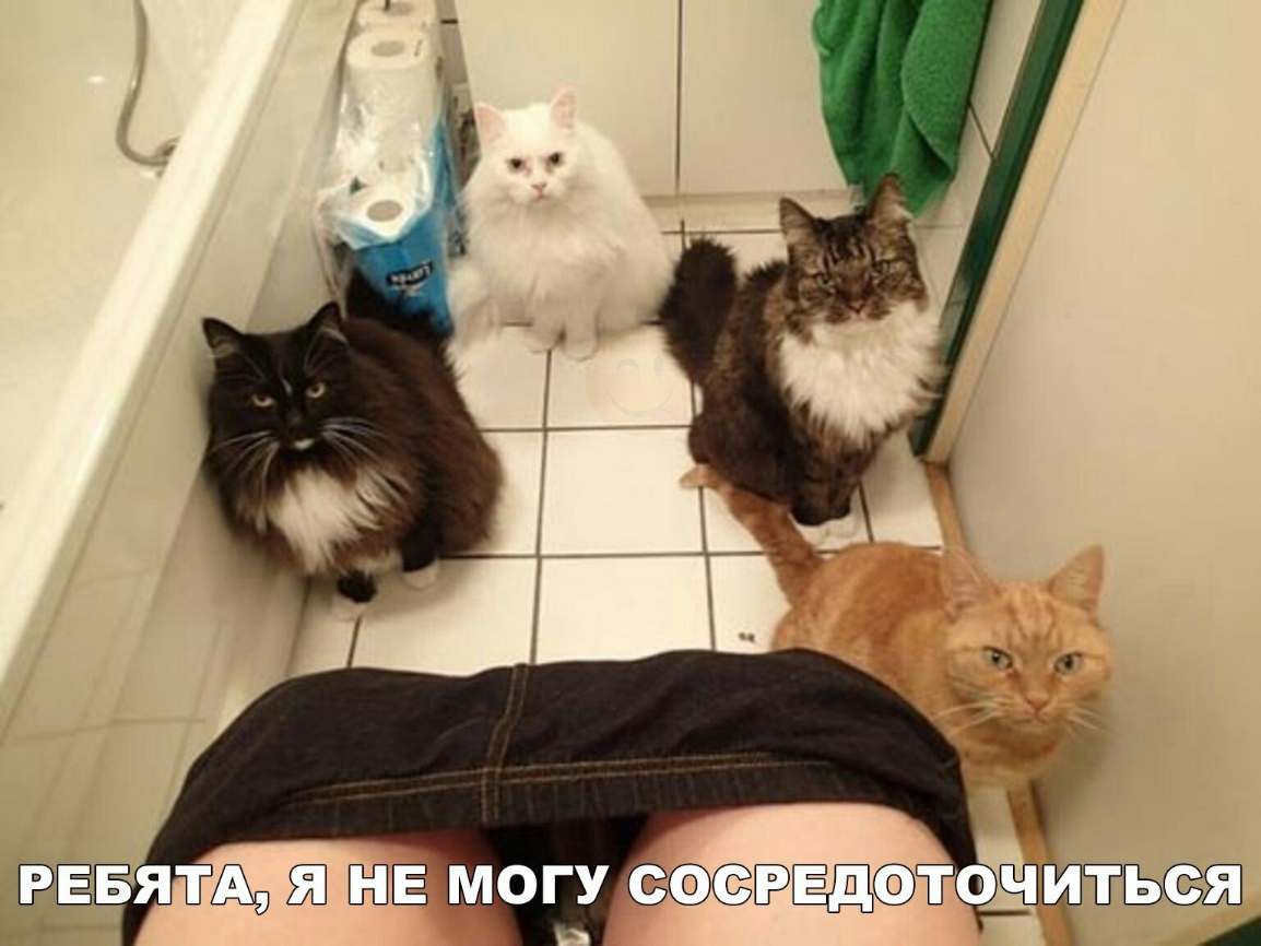 Ё МОГУ ЁЭЁЁДЁЭТОЁПШЁЁЁЁ