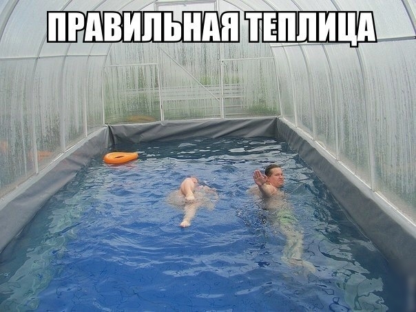 ё