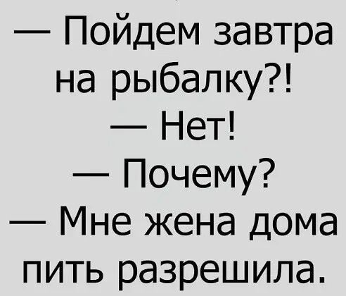 Пойдем завтра на рыбалку Нет Почему Мне жена дома пить разрешила
