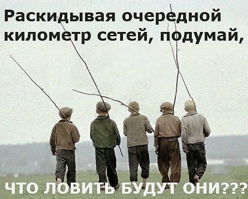 Раски ывая очерддной килом тр сетей Ц думай