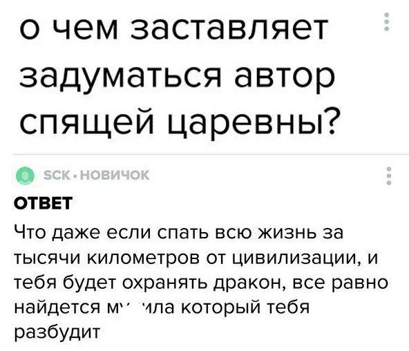 о чем заставляет задуматься автор спящей царевны О ОТВЕТ Что даже если спать всю жизнь за тысячи километров от цивилизации и тебя будет охранять дракон все равно найдется М 4ла который тебя разбудит