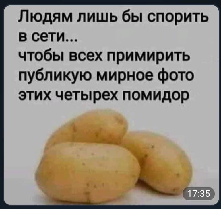 Людям лишь бы спорить в сети чтобы всех примирить публикую мирное фото этих четырех помидор
