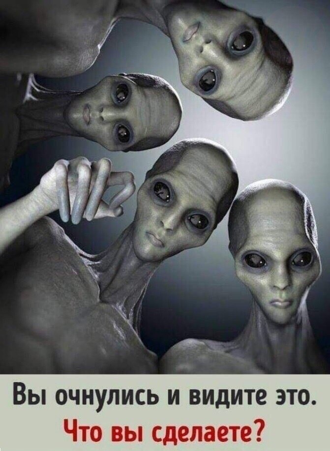 ВЫ ОЧНУЛИСЬ И видите ЭТО