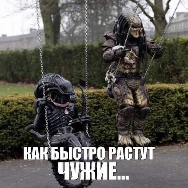 МЖ РПРПЁПП ЁЁ Ж _ Бьют _ і ЧМЖИЕ