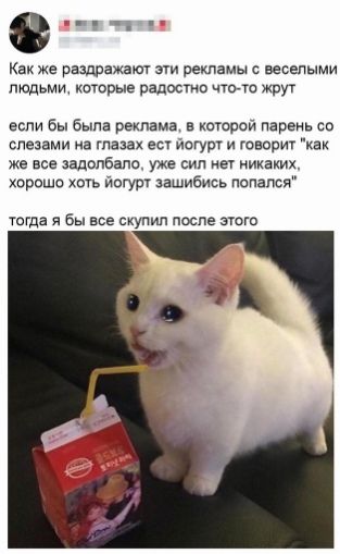 Как же раздражают а рекламы веселыми тол которые радостно но жрут еспи бы быпа реклама а каюрой парень со слезами на глазах ш Ингур и говорит как же все вдопбала_ уже сип нех никаиих хороши хыь йогур зашибись попался югда я бы все скупил после этого