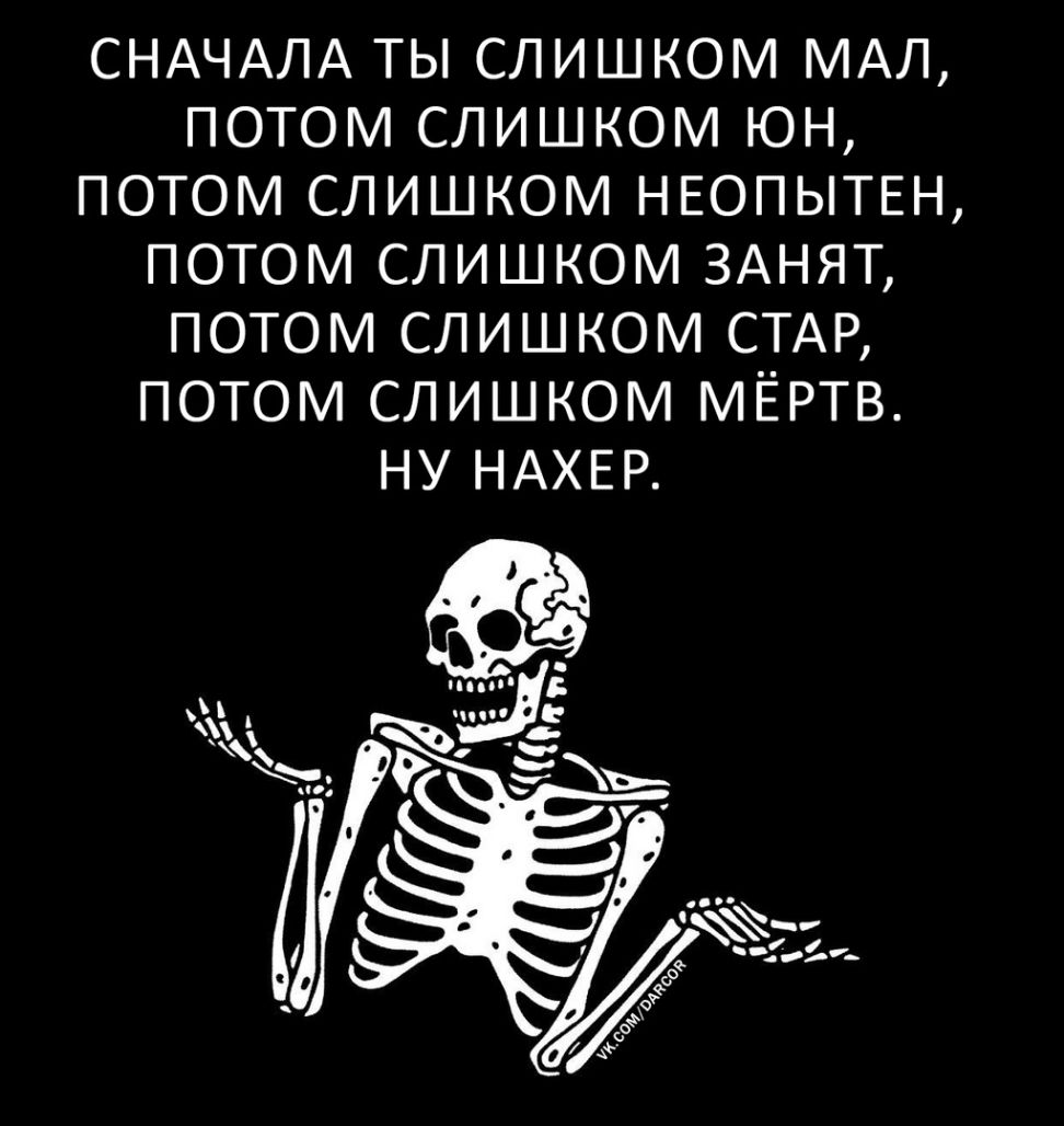 СНАЧАЛА ТЫ СЛИШКОМ МАЛ ПОТОМ СЛИШКОМ ЮН ПОТОМ СЛИШКОМ НЕОПЫТЕН ПОТОМ СЛИШКОМ ЗАНЯТ ПОТОМ СЛИШКОМ СТАР ПОТОМ СЛИШКОМ МЁРТВ НУ НАХЕР