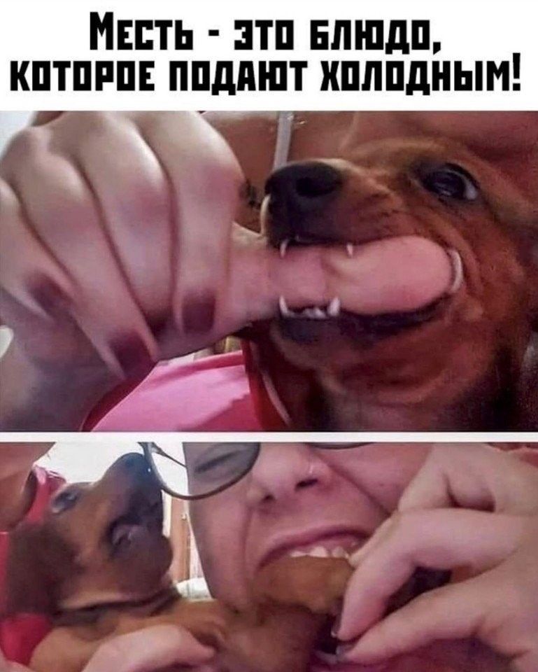 Мнпть зтп нлшдп кптппп ппдпшт иплпдным