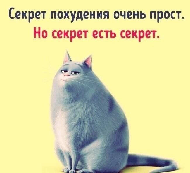 Секрет похудения очень прост Но секрет есть секрет