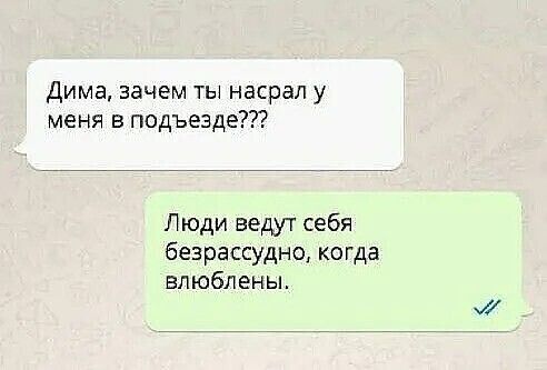 Дима зачем ты насрал у меня в подъезде Люди ведут себя безрассудно когда влюблены м