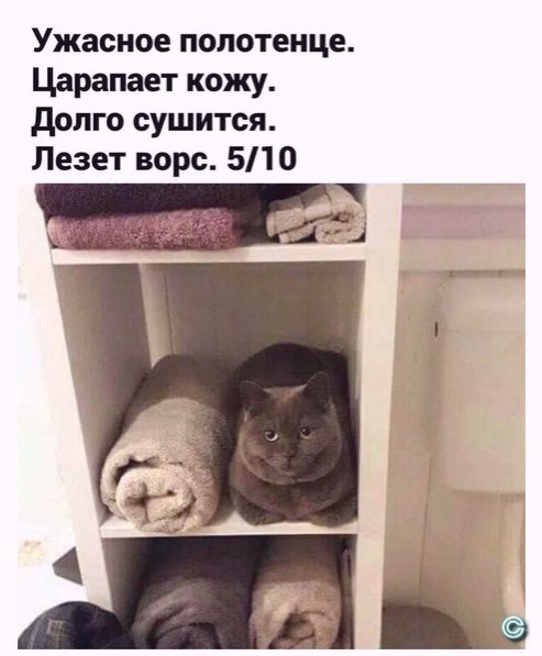 Ужасное полотенце Царапает кожу долго сушится Лезет ворс 510