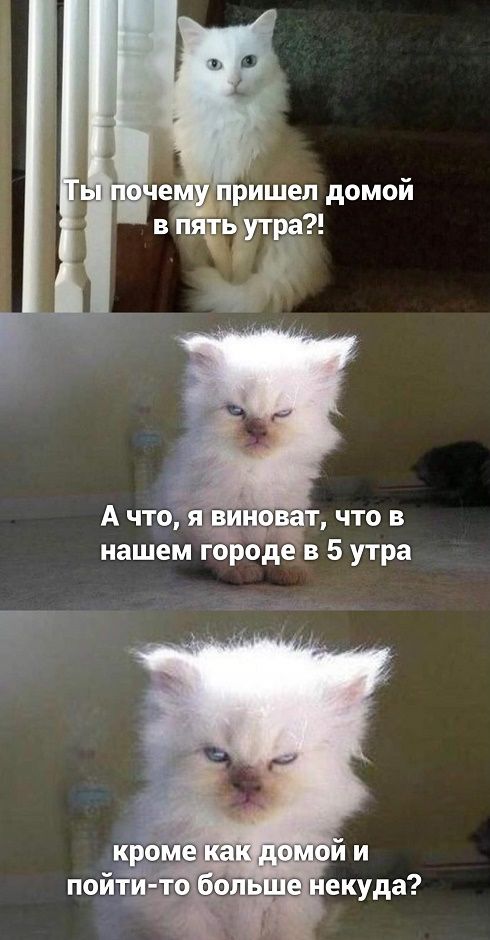 шел домой ра А чтоя5рт что в нашем гброде в 5 утра