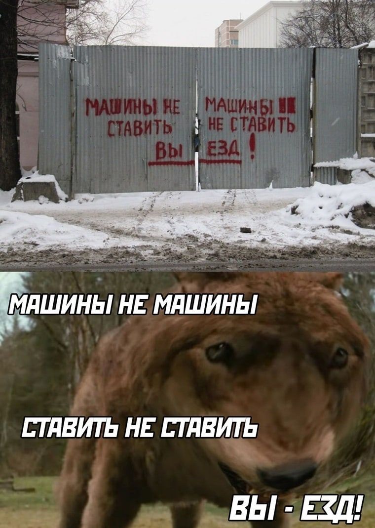 ЙДШИНЫ НЕ МАШИНЫ тлвитъ нв птдвитъ д _ ды дд