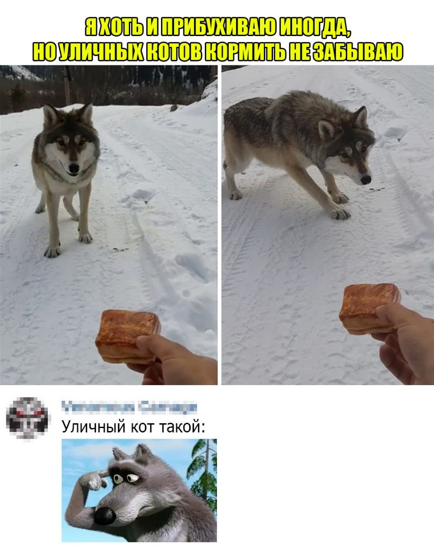 ШШ_ШПЩЩ М Уличный кот такой