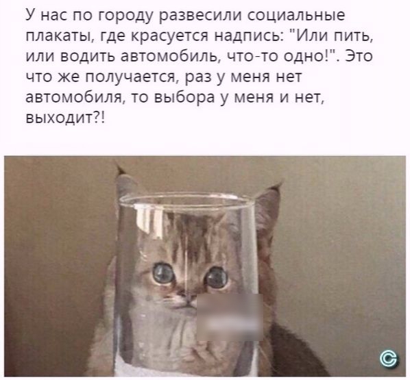У нас по городу развесили социальные плакаты где красуется надпись Или пить или водить автомобиль чтойто одно Это что же получается раз у меня нет автомобиля то выбора у меня и нет выходит